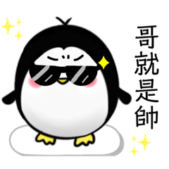 panda_20220927201049