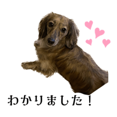 ぷぷちーぬスタンプ