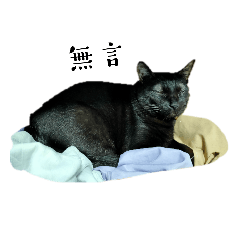 shell_20221231033619