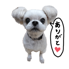 そらくん日常生活スタンプ