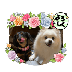 ペコなっちゃん