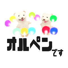 KPOP好きわんこスタンプ スピとコスピ