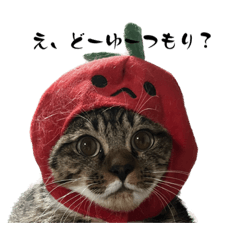 らいくんは成人男性