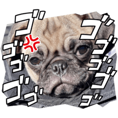 ぱぐのHanaちゃんスタンプ