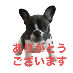 フレブルレモンのスタンプ