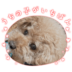 トイプ〜のぷう〜