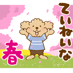 トイプーのぷう太郎 ていねいな春