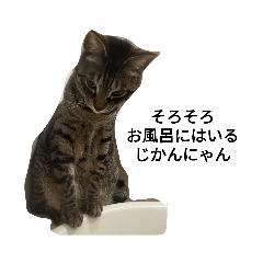 保護猫ローさんスタンプ②