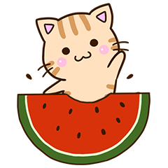 おちゃめなトラネコ☆夏