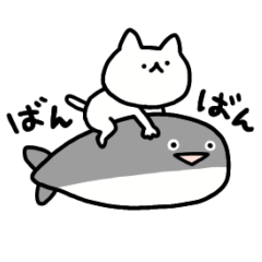 しょぼいねこの夏休み