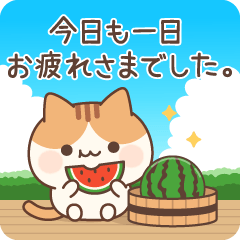 飛び出す！ラブリーなにゃんこ♥夏ver.