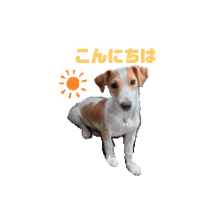 [くうチャンネル]くうちゃんスタンプ