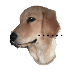 ponkan_20230728152130