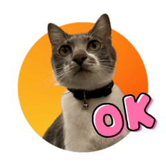 レインとエテは世界一