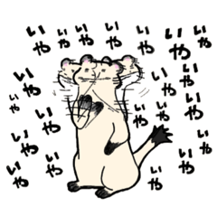 台場の森メガ盛り