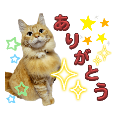 津軽のねごだぢ