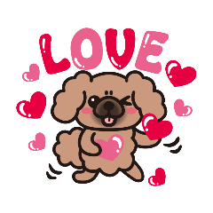 ペキニーズ　綿あめ犬　もふもふ茶色わんこ