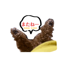 こむこむスタンプ。日常編⑴