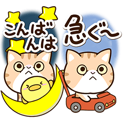 エキゾチック☆ブラウン【BIG】