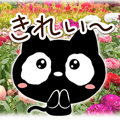 クロネコすたんぷ☆花