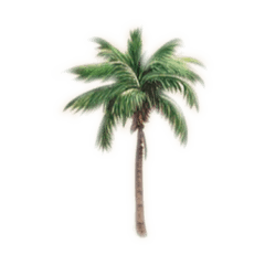 Hawaiian girl’s life