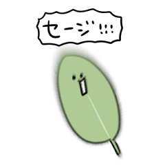 シンプル セージ 日常会話