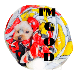 クク太といっしょ