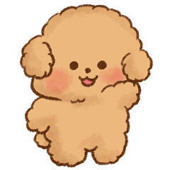 ふわもこトイプーちゃん.
