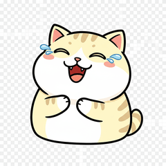 かわいいネコの日常♪