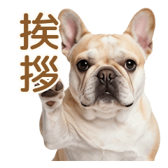 年中使える♪もちもちフレブルの日常