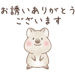 角を立てない丁寧に断るクオッカのスタンプ