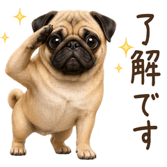 一年中使える♪パグ