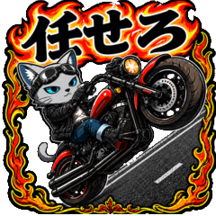 クールな猫シアンのアメリカンバイク