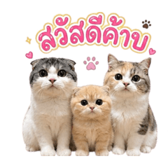 Sasiwimon_20260430174359