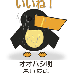 オオハシ明るい反応