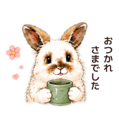 ぺこうさの日常【毎日使える】