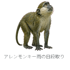 アレンモンキー雨の日段取り