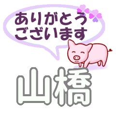山橋「やまはし」さん専用。日常会話