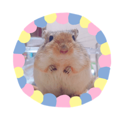 スナネズミ・オブ・スナネズミ