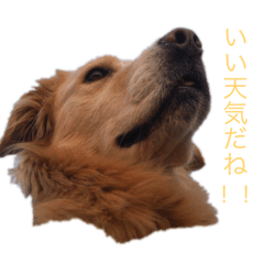 サニーちゃんのスタンプ 1