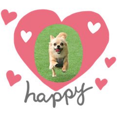 ミルクすたんぷ