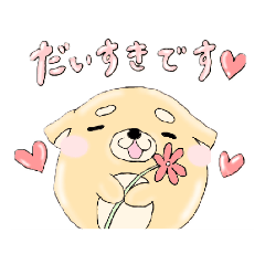 まんまるしば。1