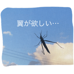 虫達のキモチ   あすけけ