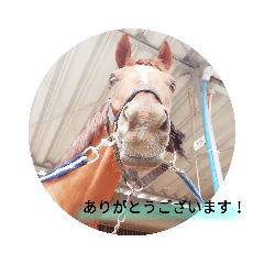 クレイン　　馬2