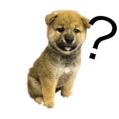 一之助スタンプ☆