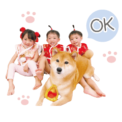 サンボライス×柴犬兄弟ルカ