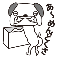 ちょっとだけ面倒くさい犬