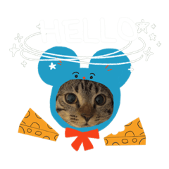 The most cute Doudou.