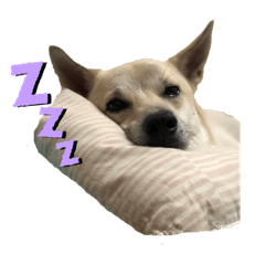 Belle_20200416034806