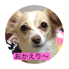 はなちゃん第二弾